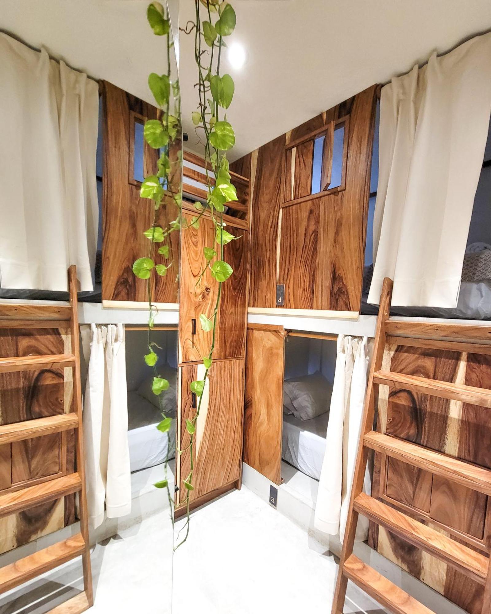 Caracola Boutique Hostel El Paredon Buena Vista Exterior photo